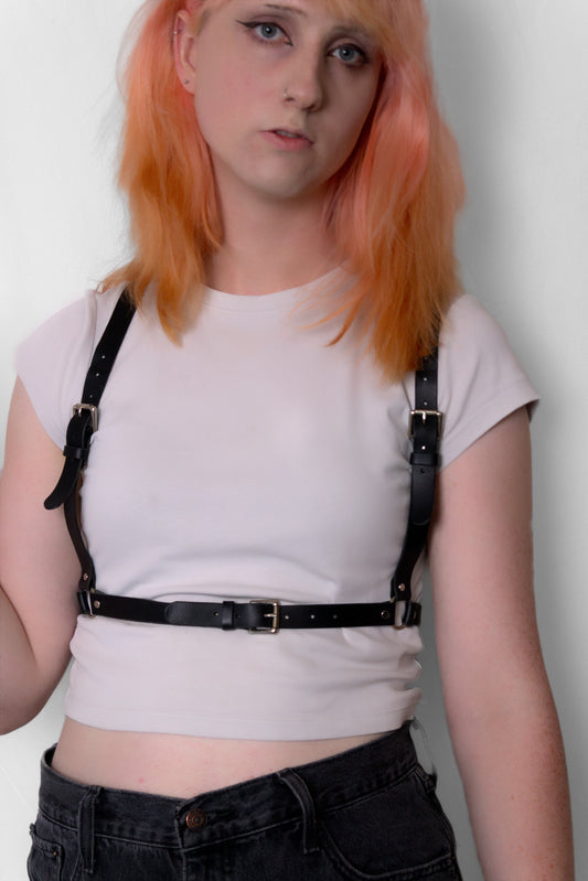 Harness